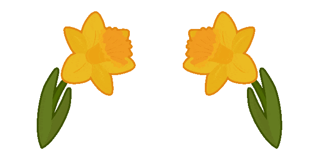 daffodil animated custom cursor