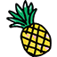 Hand-Drawn Pineapple & Hibiscus Flower