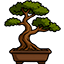 Karate Kid Bonsai Tree & Mr. Miyagi