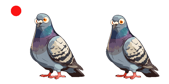 pigeon laser eyes animated custom cursor
