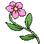 Pink Spring Flower Animated