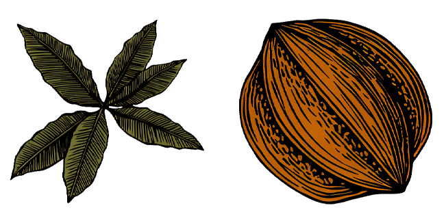 vintage cacao bean and leaves custom cursor