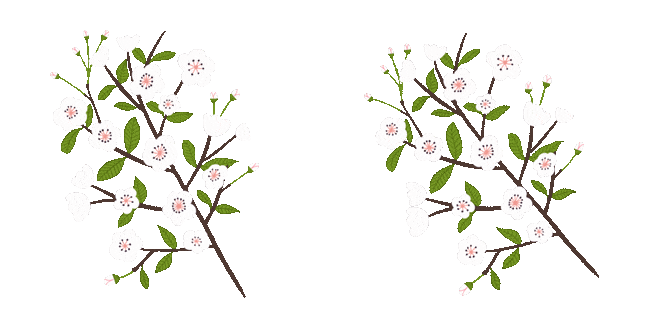 white blossom branch animated custom cursor