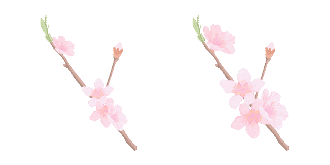 cherry blossom animated custom cursor