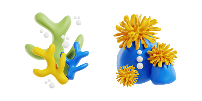 corals 3D custom cursor
