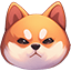 Cute Angry Shiba Inu Doge