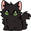 Cute Black Cat & Cream Kitten