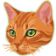 Ginger Tabby Cat