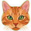 Ginger Tabby Cat