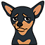 Happy & Sad Pinscher