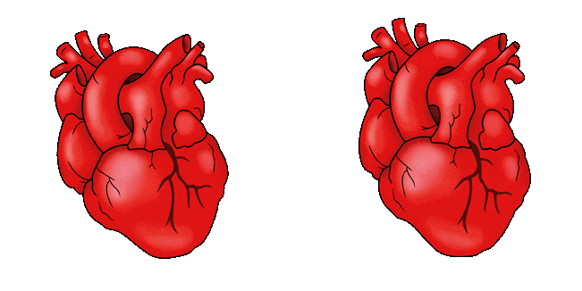 human heart animated custom cursor
