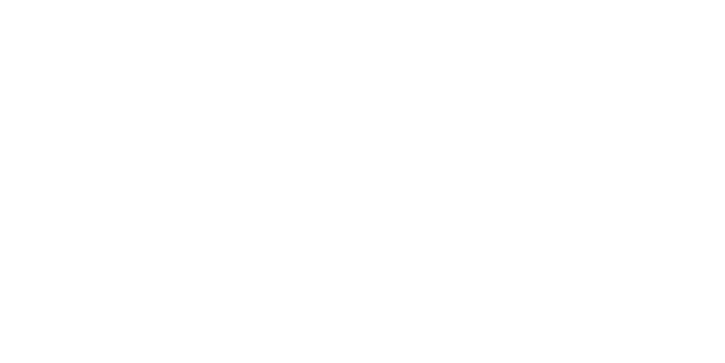 invisible stealth custom cursor