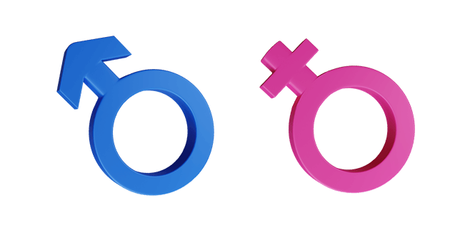 male & female gender 3D custom cursor