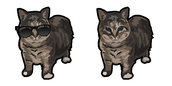 oo ee a e a cat sunglasses meme animated custom cursor