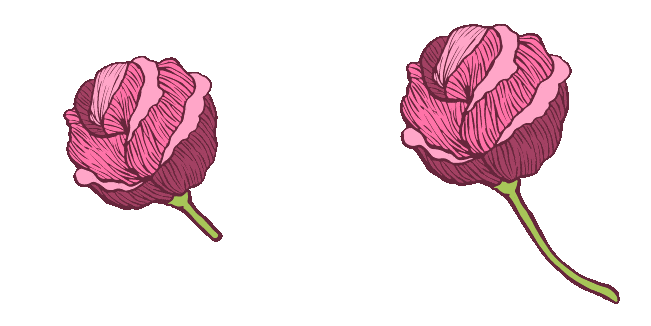 pink peony animated custom cursor