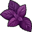 Purple & Green Basil