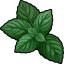 Purple & Green Basil