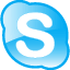 Skype Logo & Call Animated