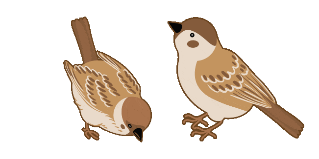 sparrow animated custom cursor