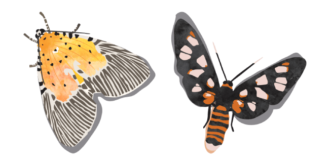 watercolor orange black moth custom cursor